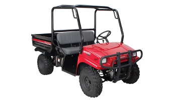 2 Seat Golf Cart Rental in St. Louis